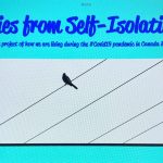 Stories from Self Isolation