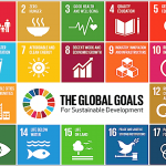 Teaching the Sustainable Development Goals during COVID